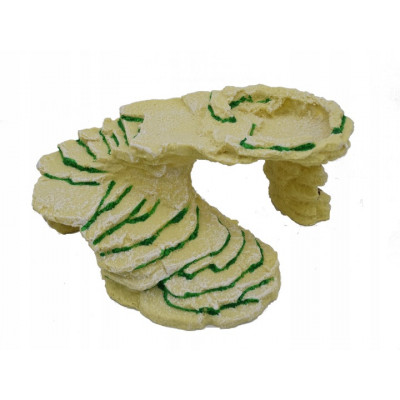 Jaskinia dla żółwia, agamy Duża wyspa ciepła RUGIA