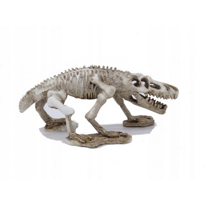 Szkielet dinozaura, ozdoba, kryjówka, do terrarium, akwarium