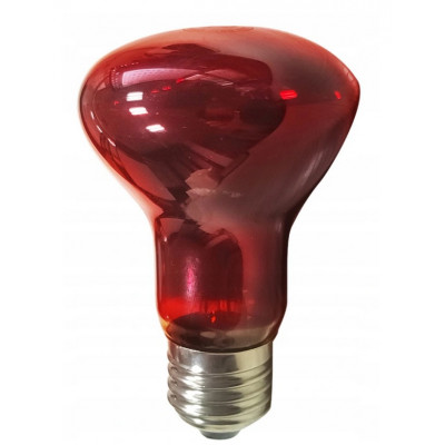 Żarówka grzewcza Nocna  Podczerwień