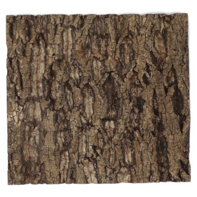 Tło Korkowe Strukturalne do Terrarium 20x20