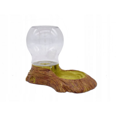 Małe poidło dla żówłwia, agamy, warana.