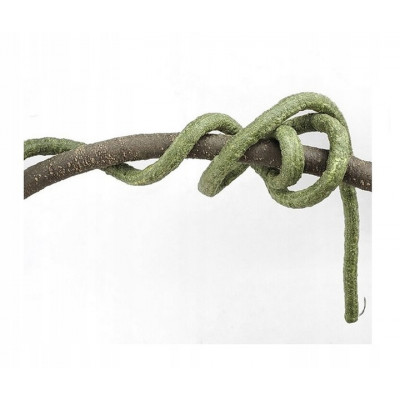 Liana tropikalna, gałąź, ozdoba do terrarium - 100 cm x 1 cm