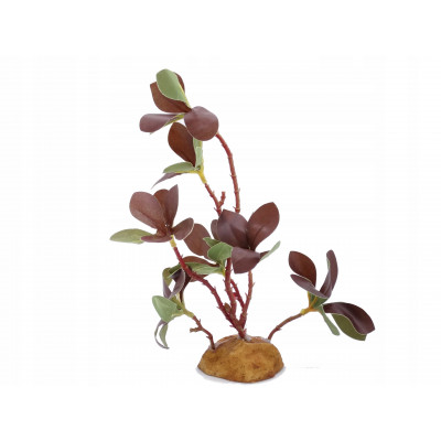 Roślina dekoracyjna do terrarium, akwarium BROWN