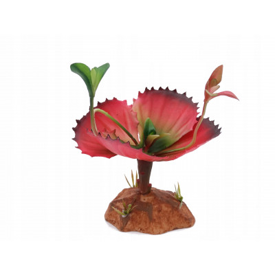 Roślina dekoracyjna do terrarium, akwarium PINK