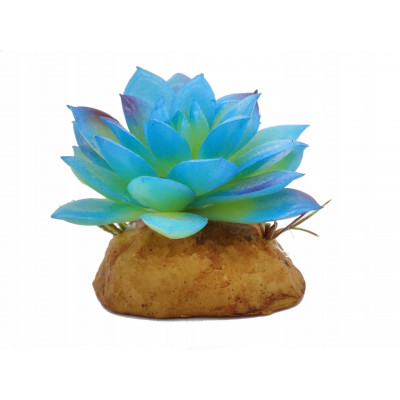 Roślina dekoracyjna do terrarium, akwarium MINI BLUE